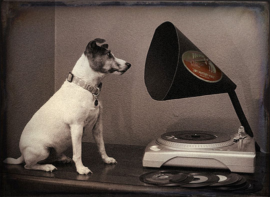 世界のビクター犬（ニッパー君）特集 | soft tempo records magazine